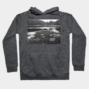 Pig Lake Hoodie